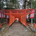 実際訪問したユーザーが直接撮影して投稿した真清田神社三八稲荷神社の写真