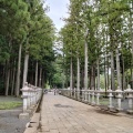 実際訪問したユーザーが直接撮影して投稿した高野山寺奥之院の写真