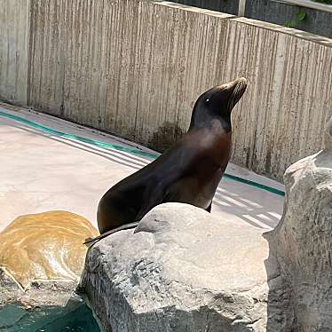 いしかわ動物園のundefinedに実際訪問訪問したユーザーunknownさんが新しく投稿した新着口コミの写真