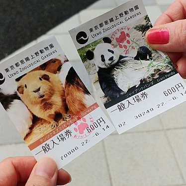 上野動物園のundefinedに実際訪問訪問したユーザーunknownさんが新しく投稿した新着口コミの写真