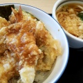 天丼 - 実際訪問したユーザーが直接撮影して投稿した高野道丼ものさん天 枚方高野道店の写真のメニュー情報