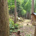 実際訪問したユーザーが直接撮影して投稿した木本町山 / 峠松本峠の写真