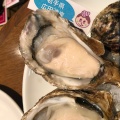 実際訪問したユーザーが直接撮影して投稿した牛島町オイスターバーNAGOYA OYSTER BARの写真