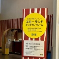 実際訪問したユーザーが直接撮影して投稿した折本町キッズスペース / 遊び場IKEA港北 スモーランドの写真