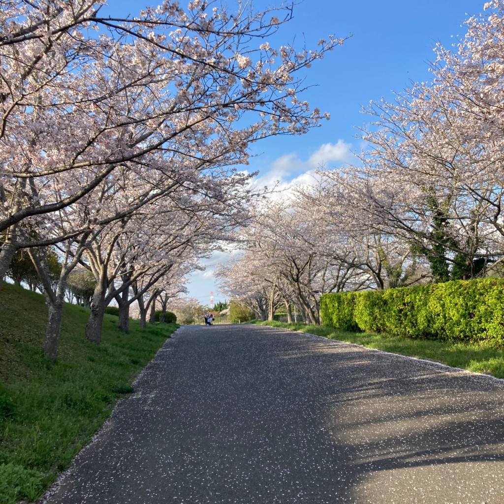 実際訪問したユーザーが直接撮影して投稿した高岡キャンプ場 / バンガロー・コテージ下総運動公園 キャンプ場の写真