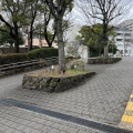 実際訪問したユーザーが直接撮影して投稿した楠町公園大倉山公園の写真