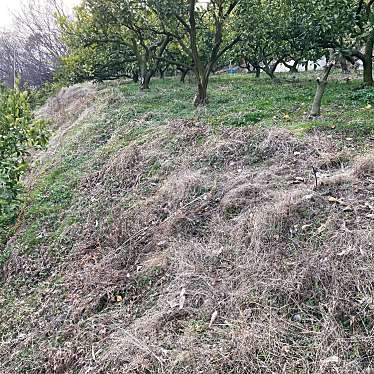 実際訪問したユーザーが直接撮影して投稿した室本町古墳丸山古墳の写真