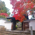 実際訪問したユーザーが直接撮影して投稿した本町15丁目寺明暗寺の写真