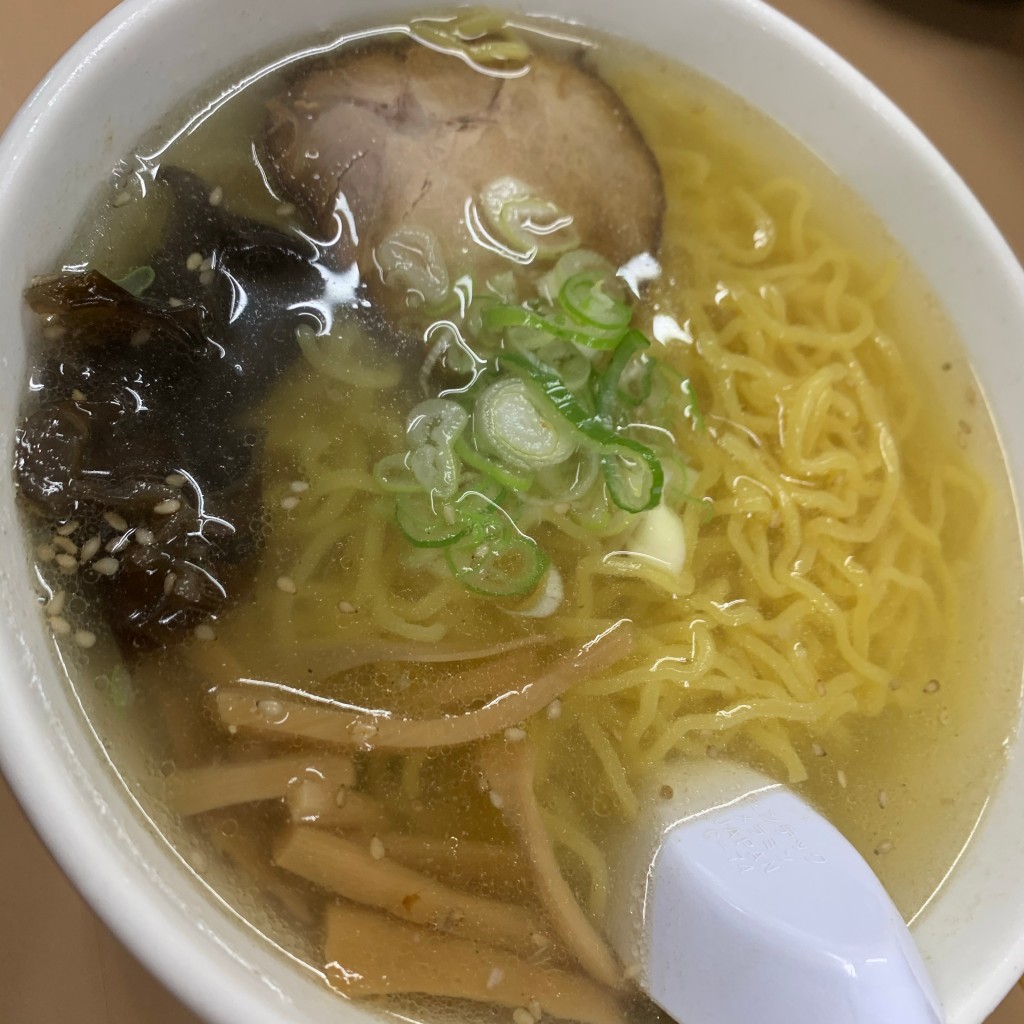 ユーザーが投稿した塩ラーメンの写真 - 実際訪問したユーザーが直接撮影して投稿した北三十三条西ラーメン / つけ麺月見軒 本店の写真