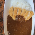 カツカレー - 実際訪問したユーザーが直接撮影して投稿した東中央喫茶店ラビンの写真のメニュー情報