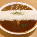 ツインカレー - 実際訪問したユーザーが直接撮影して投稿した台東カレーSpice Curry カリカリの写真のメニュー情報