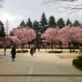 実際訪問したユーザーが直接撮影して投稿した本町公園錦町公園の写真