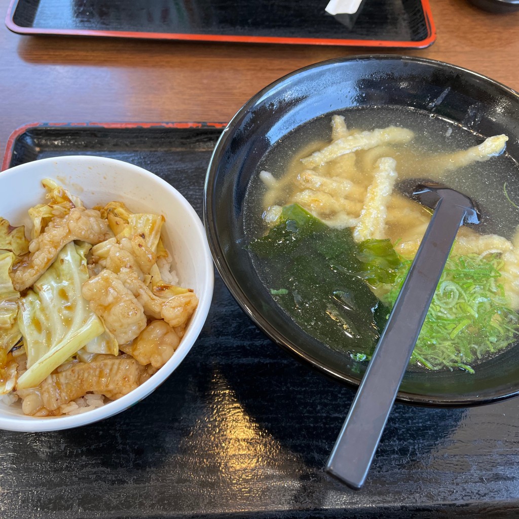 ユーザーが投稿した平日ランチ ホルモン丼セットの写真 - 実際訪問したユーザーが直接撮影して投稿した角子南うどん鳴門うどん 大在店の写真