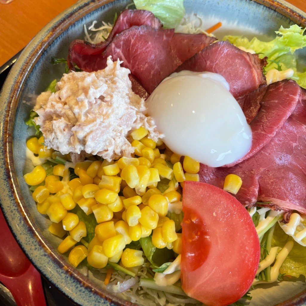 ユーザーが投稿した(麺)ローストビーフ和風サラダの写真 - 実際訪問したユーザーが直接撮影して投稿した田村ファミリーレストラン和食さと 平塚田村店の写真