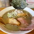 実際訪問したユーザーが直接撮影して投稿した手形からみでんラーメン / つけ麺初代麺屋とのさきの写真