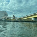 実際訪問したユーザーが直接撮影して投稿した河川隅田川の写真