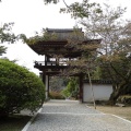 実際訪問したユーザーが直接撮影して投稿した柳本町寺長岳寺の写真