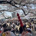 実際訪問したユーザーが直接撮影して投稿した康生町公園岡崎公園の写真