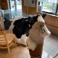 ジェラート (ダブル) - 実際訪問したユーザーが直接撮影して投稿した須賀谷アイスクリーム高秀牧場 ミルク工房の写真のメニュー情報