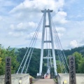 実際訪問したユーザーが直接撮影して投稿した田野橋九重 夢 大吊橋の写真