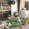 実際訪問したユーザーが直接撮影して投稿した富堂町カフェほのぼのCafeの写真