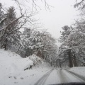 実際訪問したユーザーが直接撮影して投稿した大山山 / 峠大山の写真