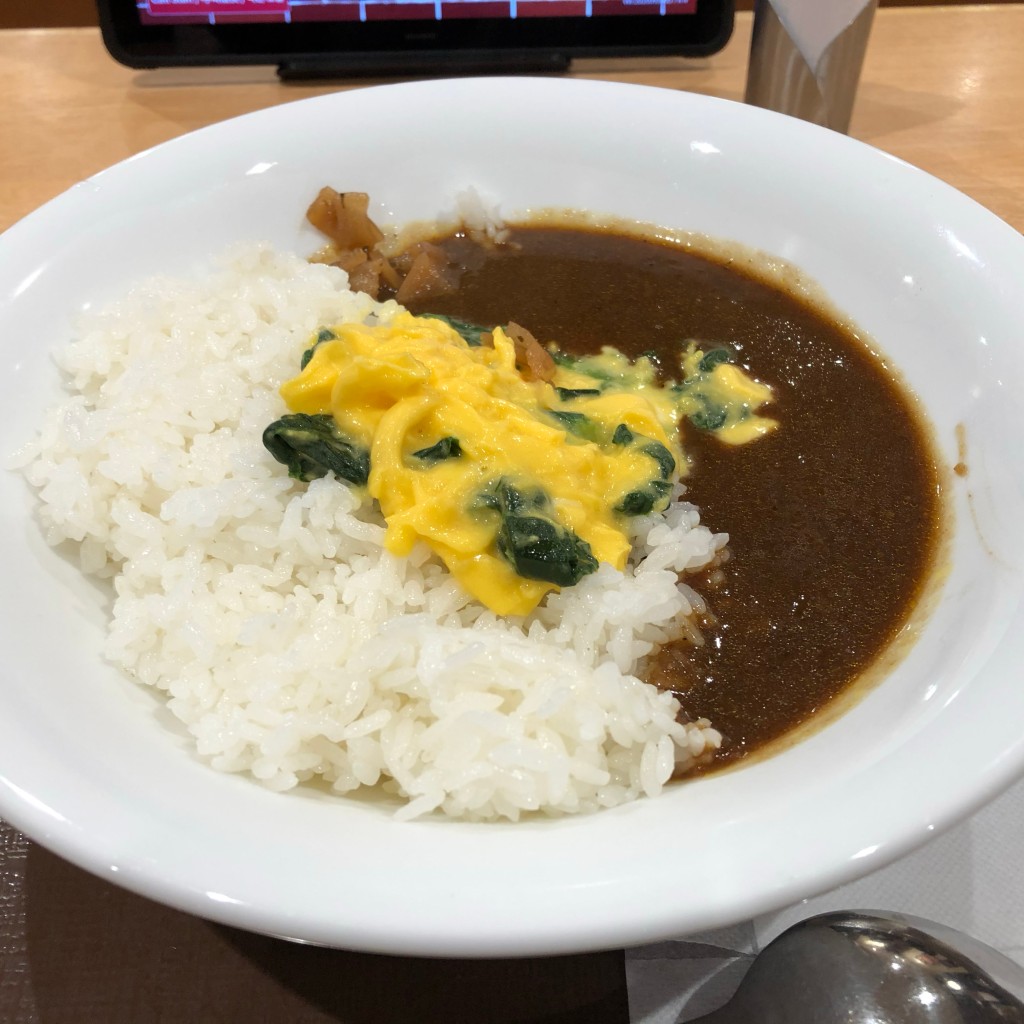 ユーザーが投稿したカレーの写真 - 実際訪問したユーザーが直接撮影して投稿した北十一条西牛丼すき家 札幌桑園店の写真