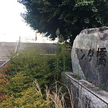 実際訪問したユーザーが直接撮影して投稿した上野地域名所パンダ橋の写真