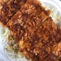 三元豚厚切りロースカツ丼 - 実際訪問したユーザーが直接撮影して投稿した三郎丸定食屋めん食堂 川なべの写真のメニュー情報