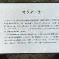 実際訪問したユーザーが直接撮影して投稿した奈良町オブジェオクテトラの写真
