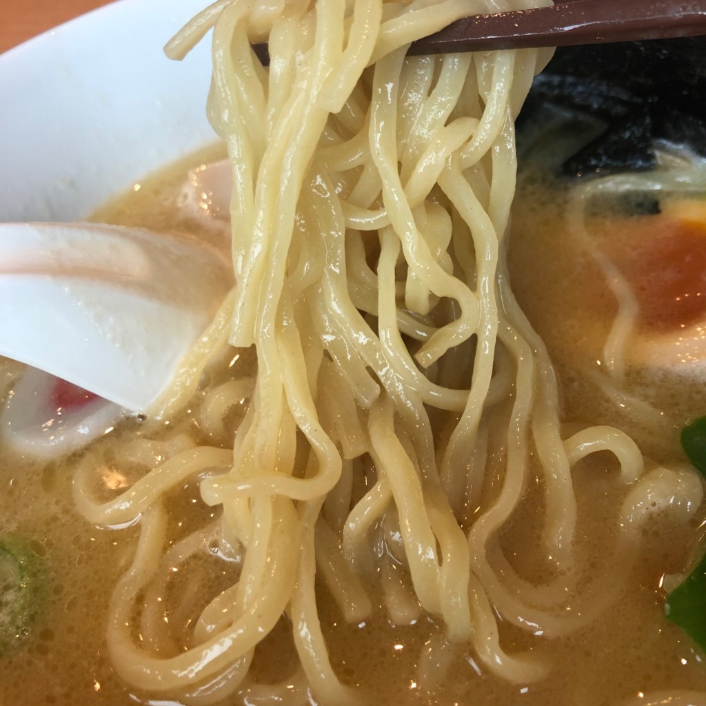 ユーザーが投稿した濃厚豚骨ラーメンの写真 - 実際訪問したユーザーが直接撮影して投稿した四谷中華料理日高屋 四ツ谷店の写真