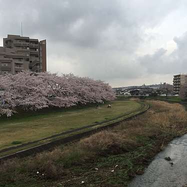 実際訪問したユーザーが直接撮影して投稿した河川瀬戸川の写真