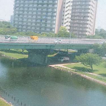 実際訪問したユーザーが直接撮影して投稿した河川旧中川の写真