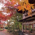 実際訪問したユーザーが直接撮影して投稿した西根定食屋侍屋敷大松沢家の写真