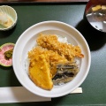 天丼 - 実際訪問したユーザーが直接撮影して投稿した高社天ぷら舞扇の写真のメニュー情報