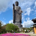 実際訪問したユーザーが直接撮影して投稿した久野町寺牛久大仏の写真