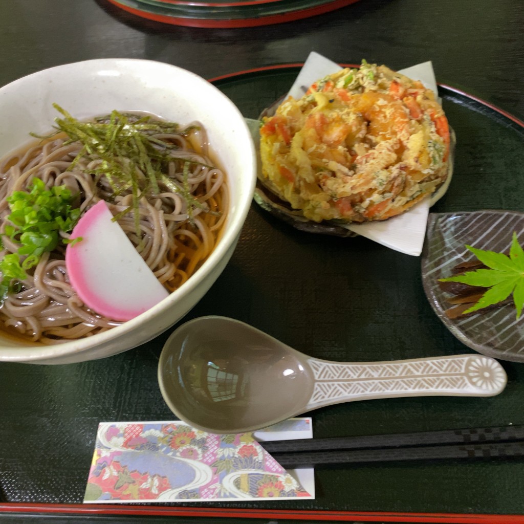 ユーザーが投稿したかき揚げ蕎麦の写真 - 実際訪問したユーザーが直接撮影して投稿した松平町和カフェ / 甘味処天下茶屋の写真