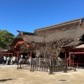 実際訪問したユーザーが直接撮影して投稿した宰府神社太宰府天満宮の写真