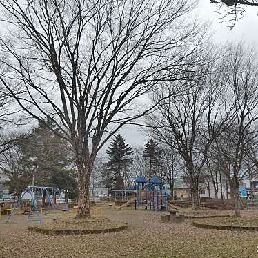 実際訪問したユーザーが直接撮影して投稿した蒔田公園東町公園の写真