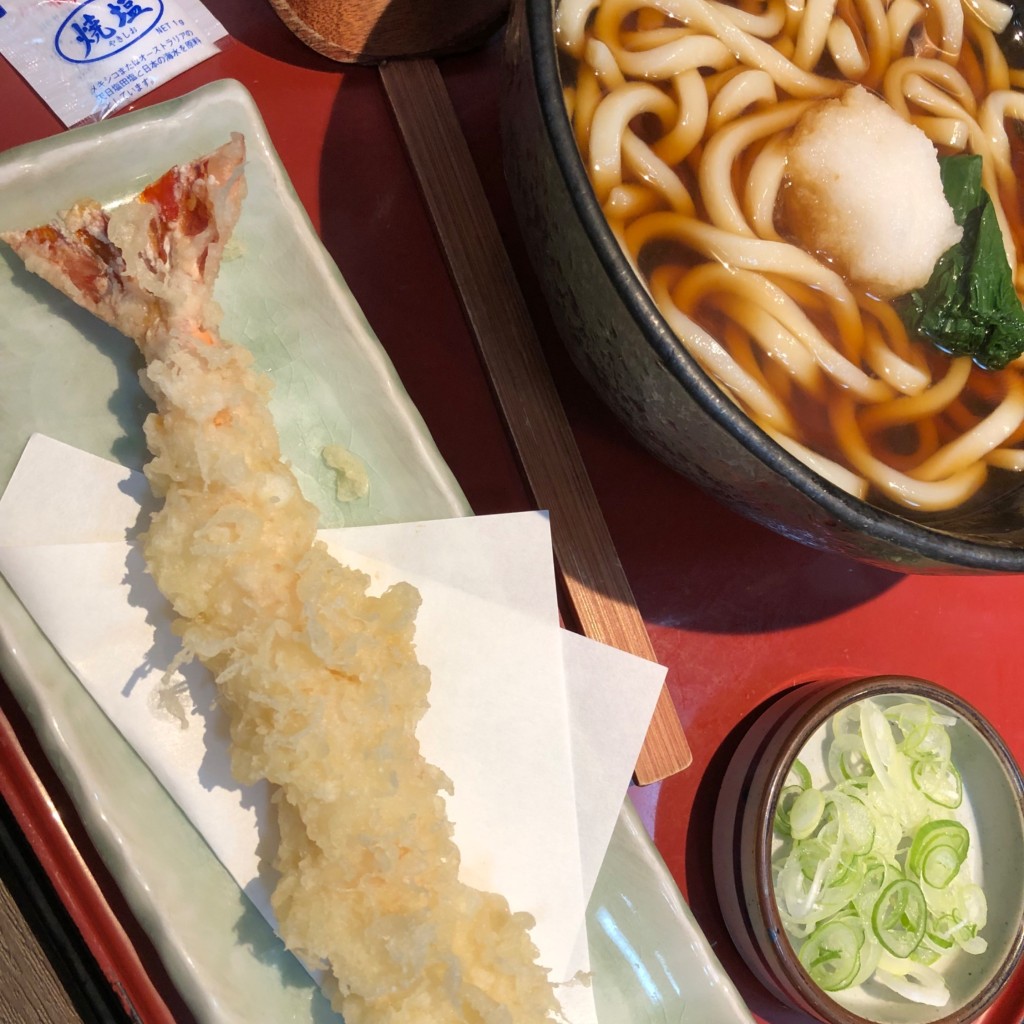 ユーザーが投稿した大海老おろしうどんの写真 - 実際訪問したユーザーが直接撮影して投稿した長池和食 / 日本料理和食麺処サガミ 京都城陽店の写真