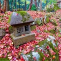 実際訪問したユーザーが直接撮影して投稿した百済寺町寺百済寺の写真