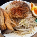 実際訪問したユーザーが直接撮影して投稿した田井ラーメン / つけ麺キラメキノトリ 京都久御山店の写真