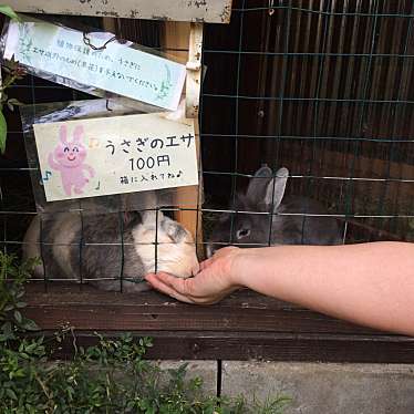 nkobayashiさんが投稿した蔵王半郷カフェのお店ミツバチガーデン カフェ/38garden cafeの写真