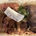 中落ち - 実際訪問したユーザーが直接撮影して投稿した中川原肉料理味道園の写真のメニュー情報