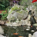 実際訪問したユーザーが直接撮影して投稿した西山町神社來宮神社の写真