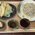 ざるそば、天ぷら - 実際訪問したユーザーが直接撮影して投稿した京阪本通そば蕎麦んちの写真のメニュー情報