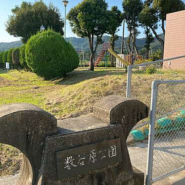 実際訪問したユーザーが直接撮影して投稿した南千両公園数谷原公園の写真