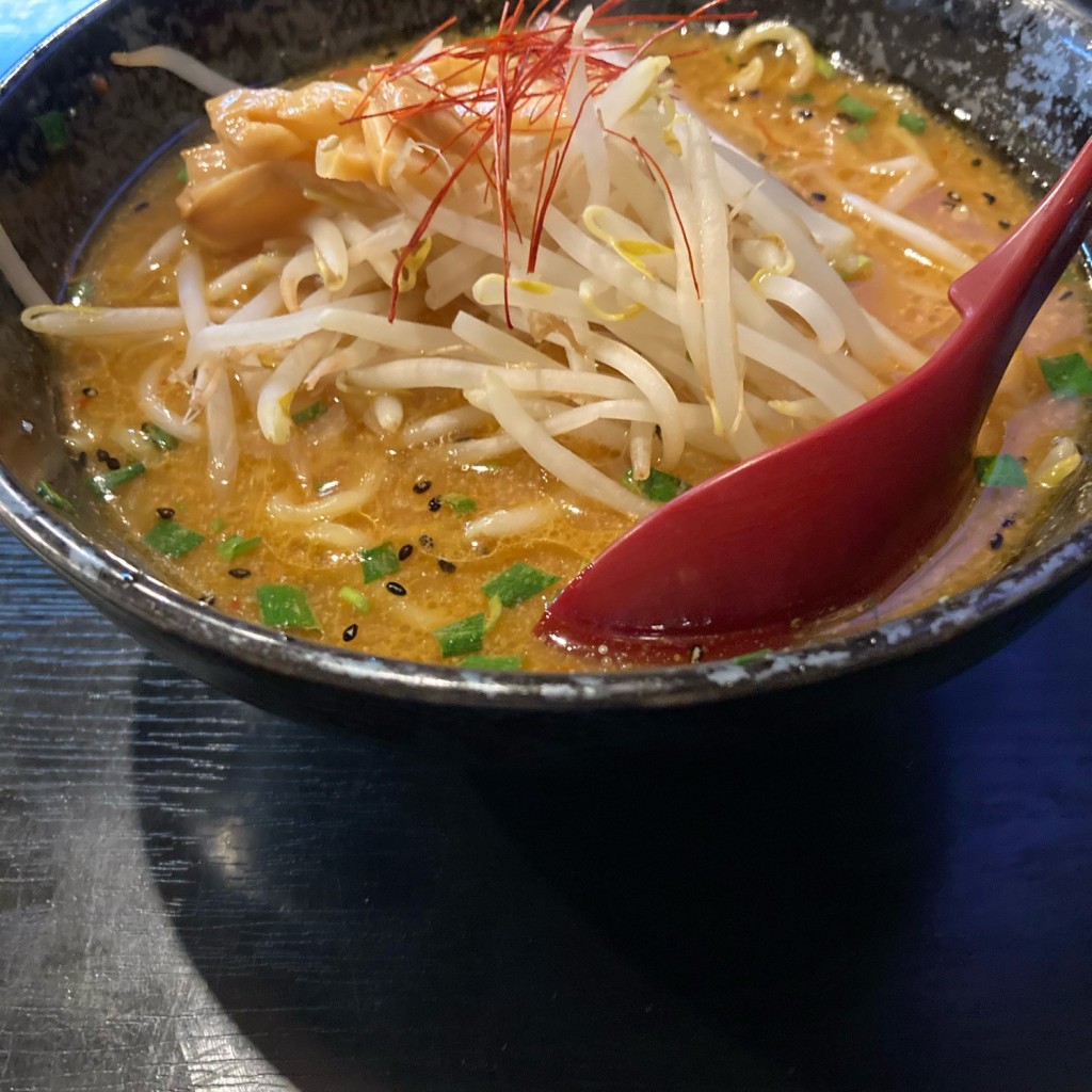 実際訪問したユーザーが直接撮影して投稿した長須賀ラーメン / つけ麺麺屋 月影 木更津長須賀店の写真