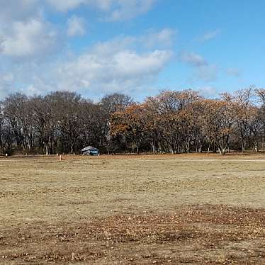 実際訪問したユーザーが直接撮影して投稿した祖父江町祖父江公園木曽三川公園の写真