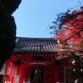 実際訪問したユーザーが直接撮影して投稿した小石川寺源覚寺の写真
